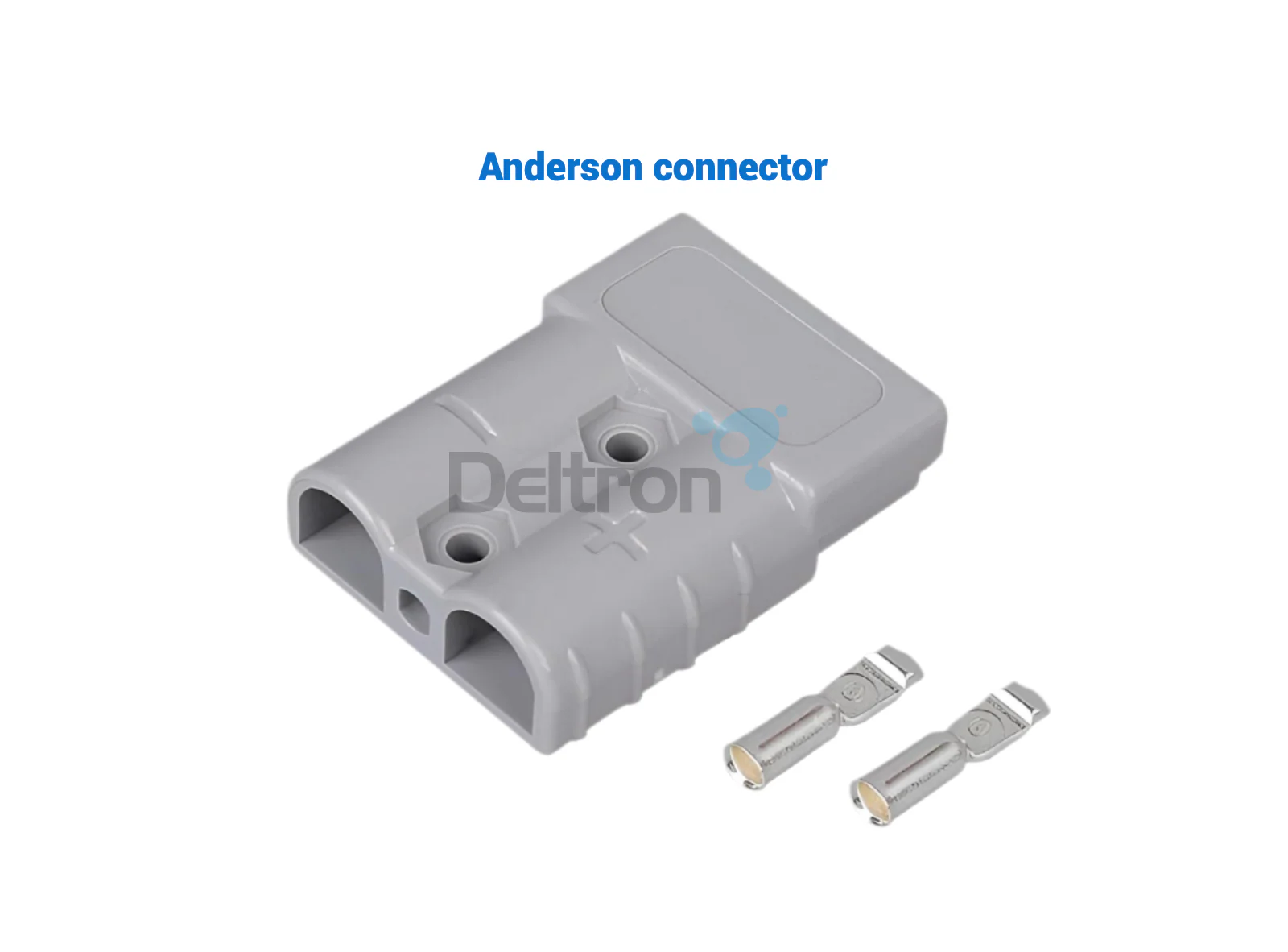 Miniatuur 7