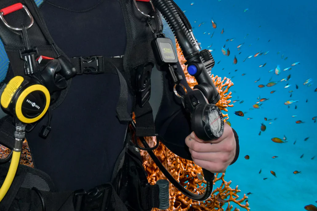 Miniatuur 3