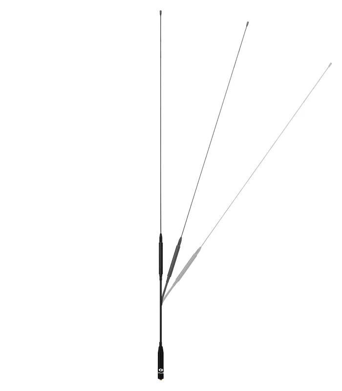 Miniatuur 2
