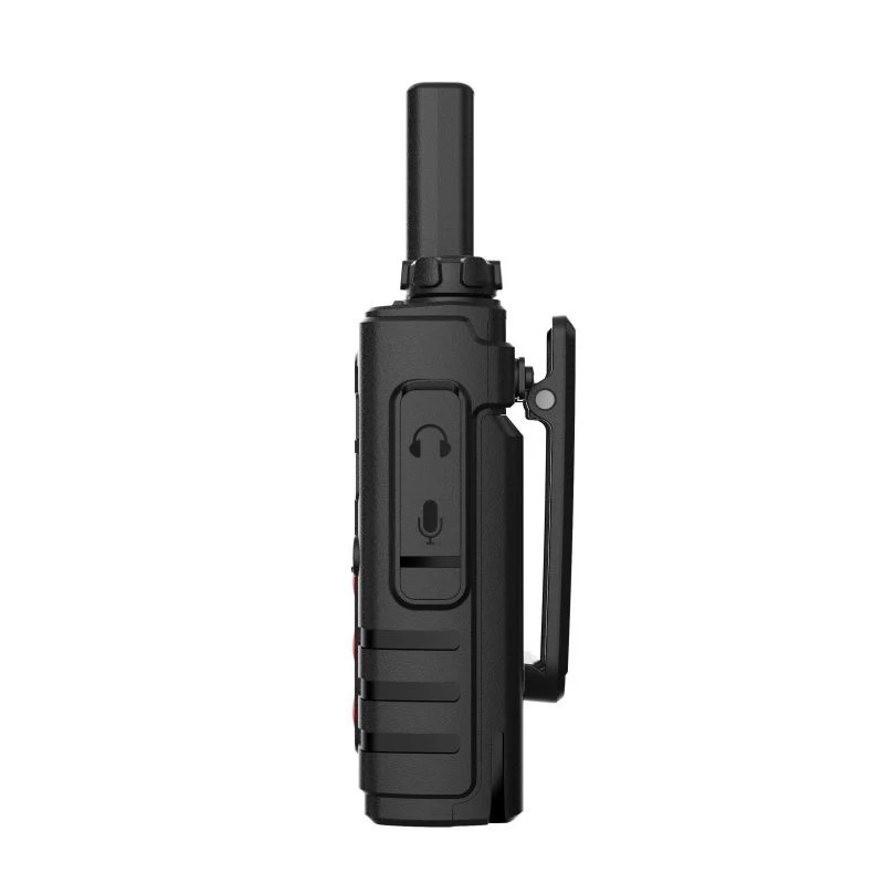 Miniatuur 8